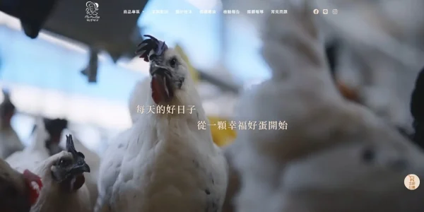 牧沐好日蛋